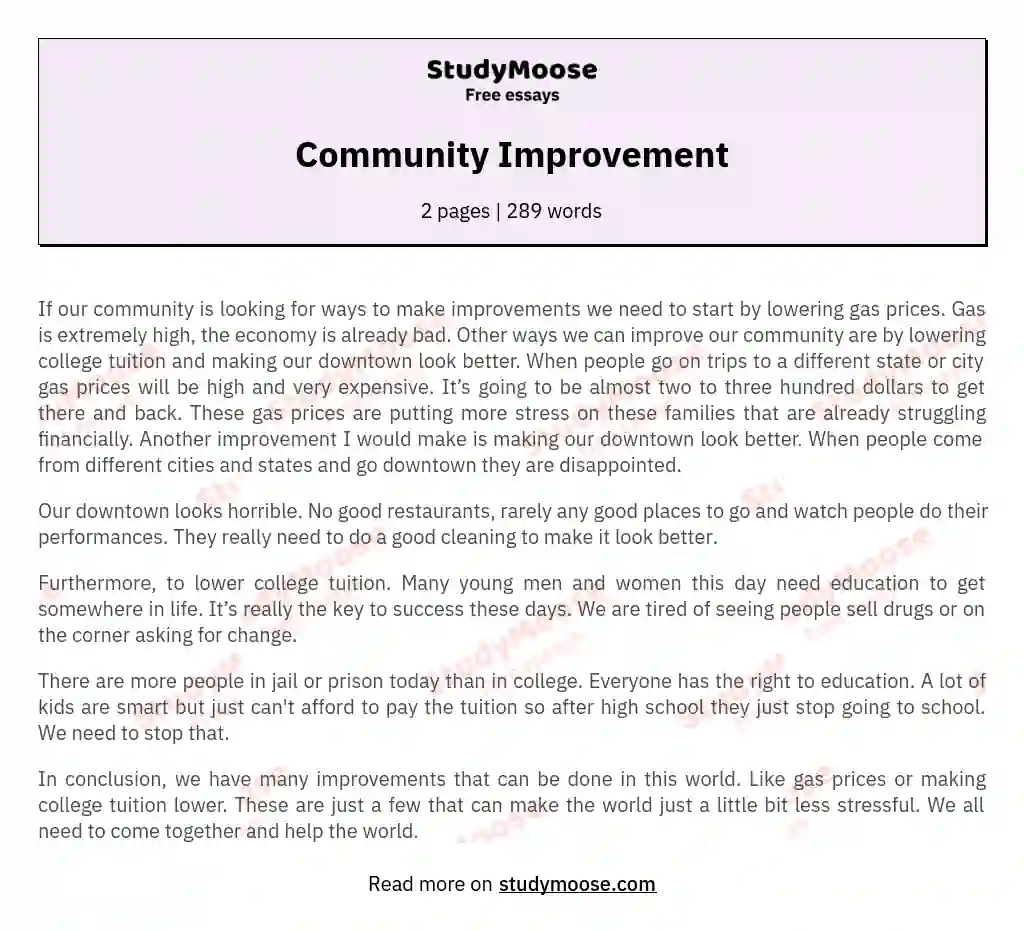 Community Improvement essay