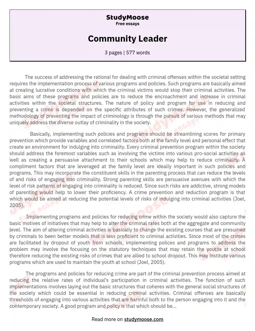 community leadership essay