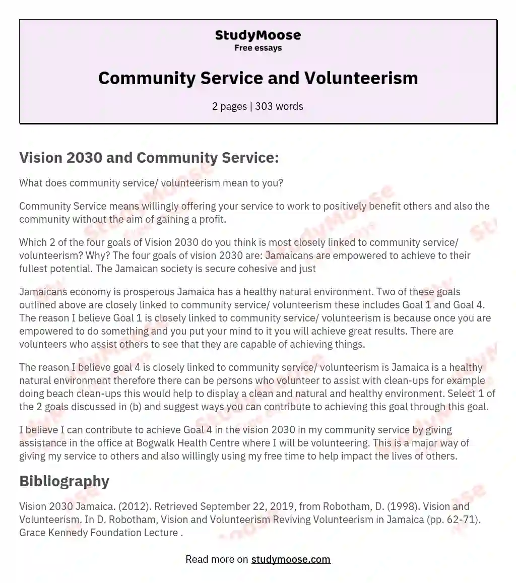 essay about volunteer in community service