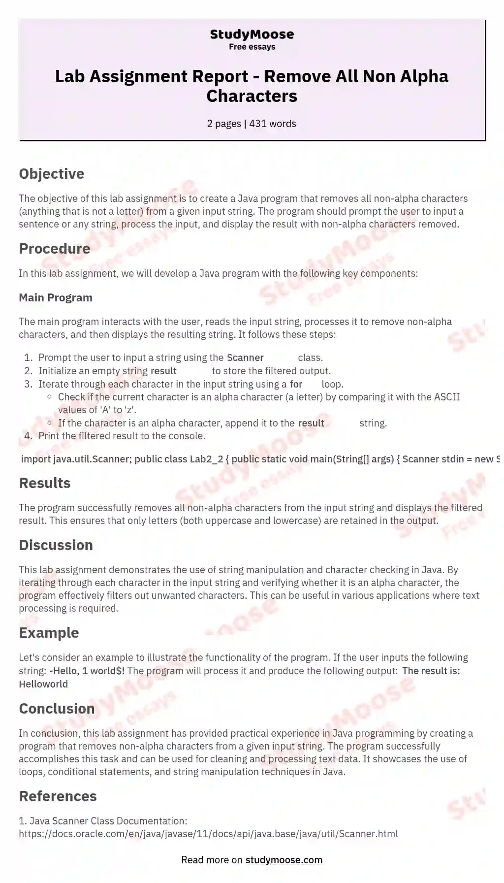 Lab Assignment Report - Remove All Non Alpha Characters essay