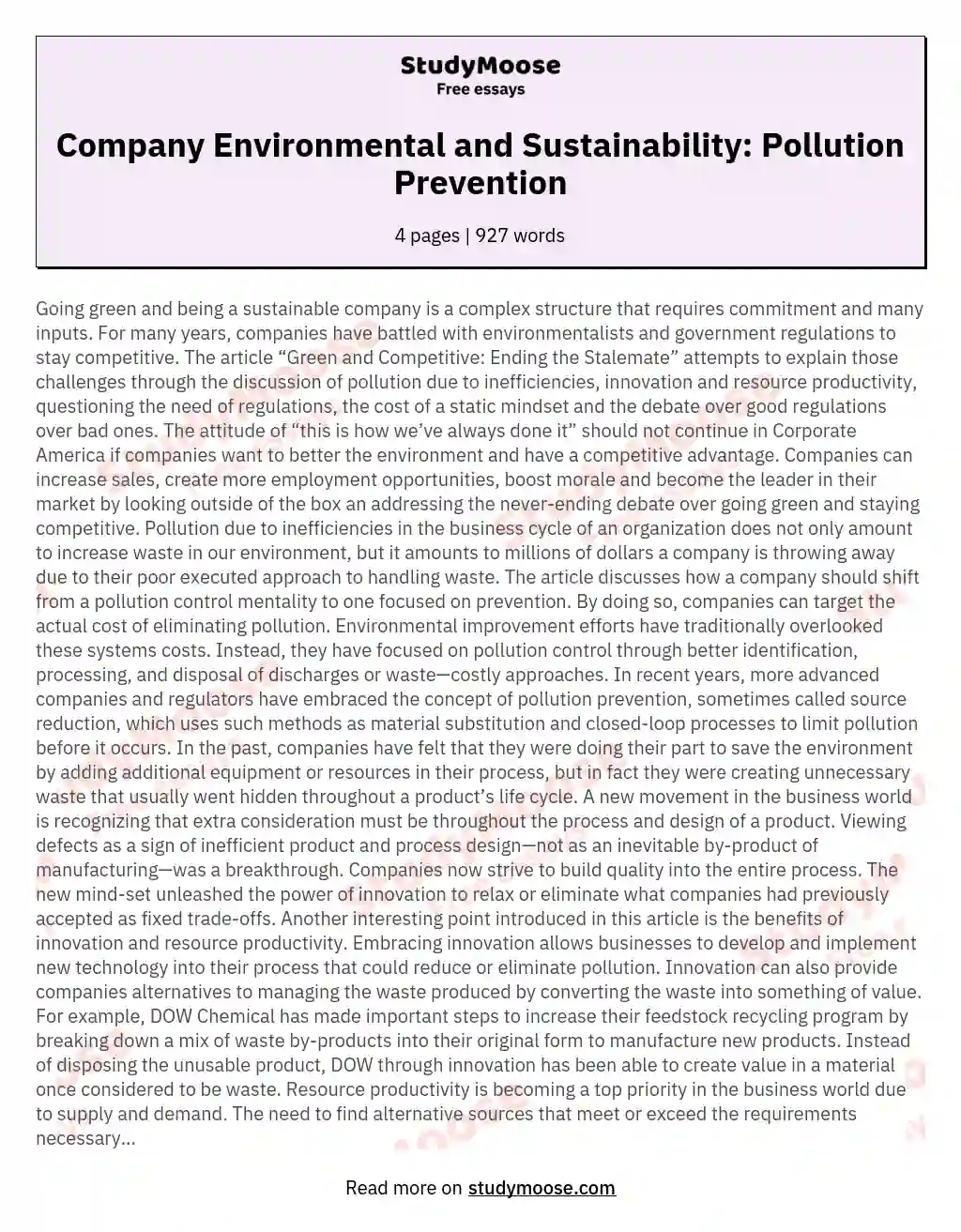 Company Environmental and Sustainability: Pollution Prevention essay