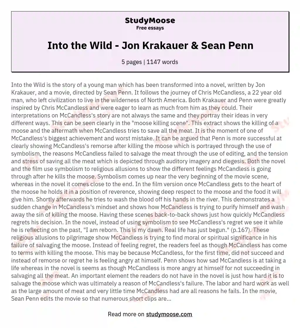 Into the Wild - Jon Krakauer &amp; Sean Penn essay