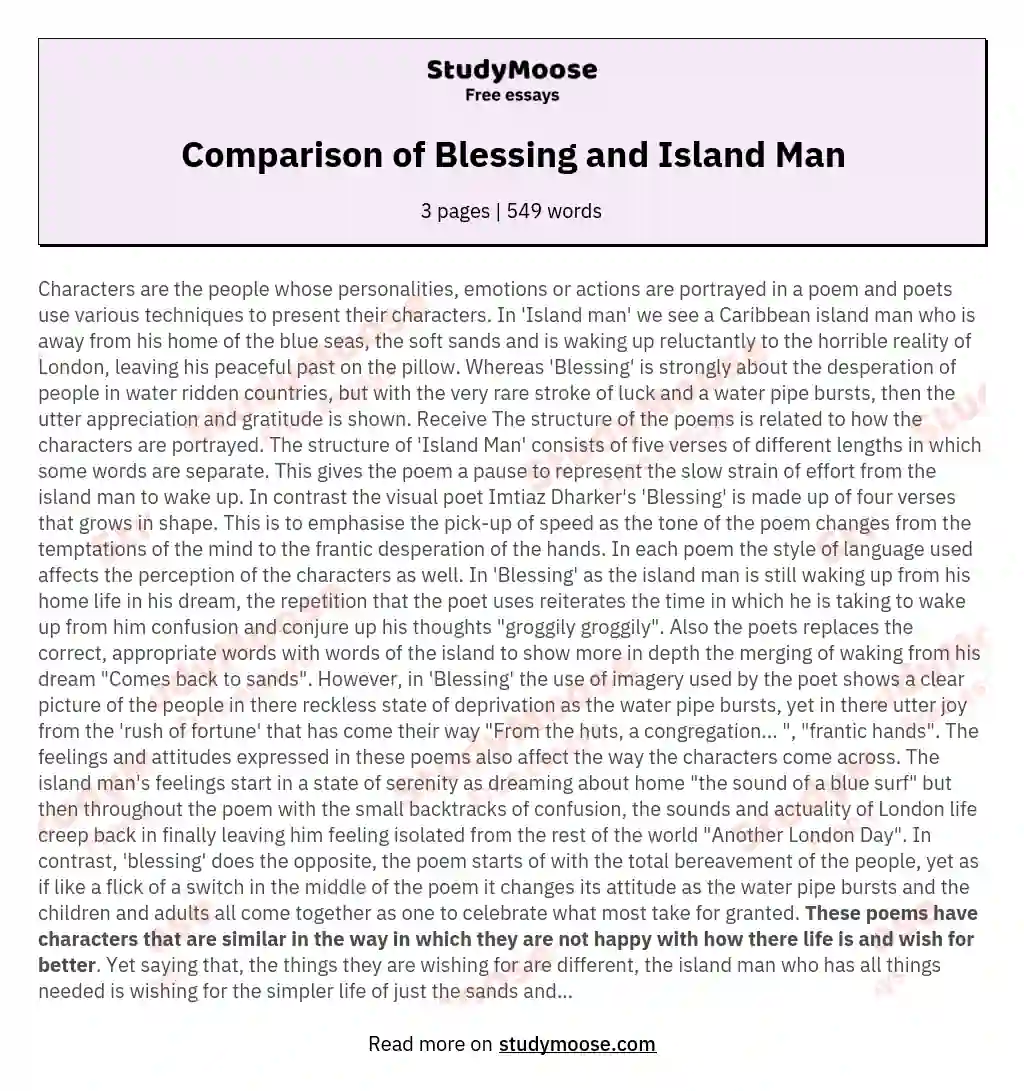 Comparison of Blessing and Island Man essay