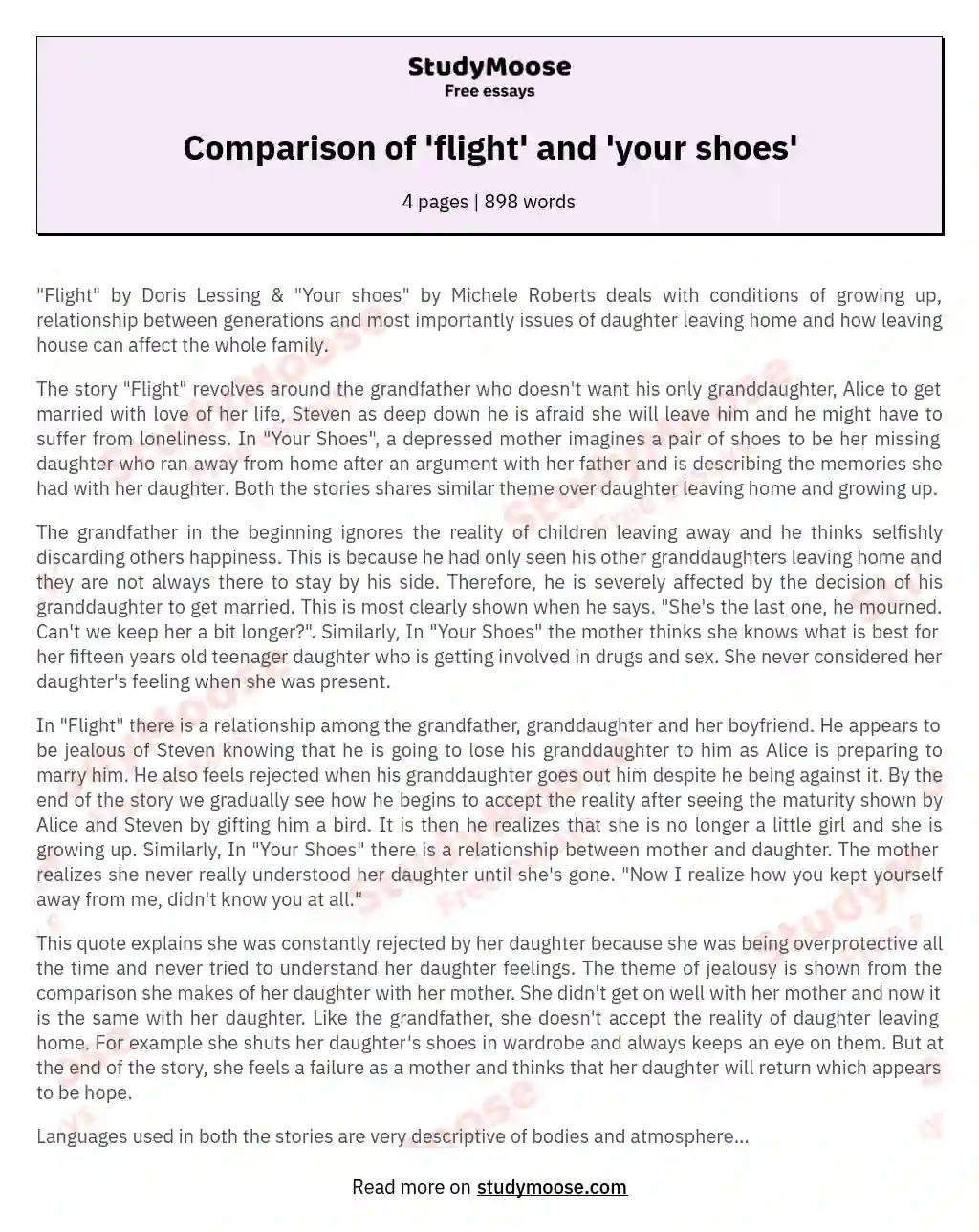 Comparison of 'flight' and 'your shoes'