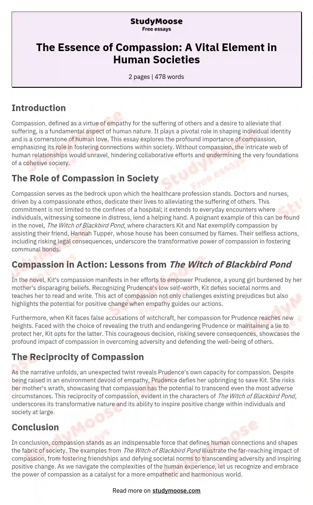 The Essence of Compassion: A Vital Element in Human Societies essay
