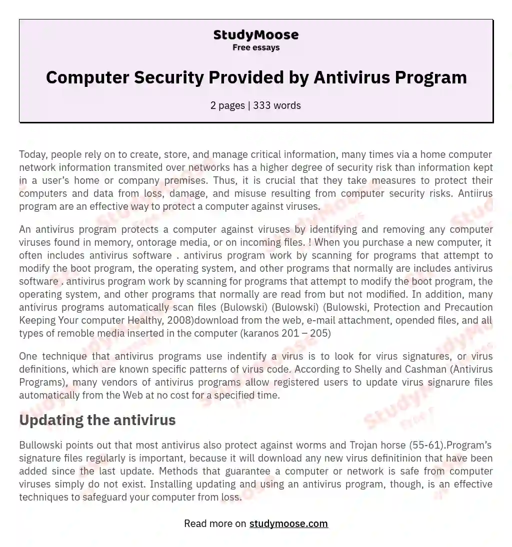 Computer Security Provided by Antivirus Program essay