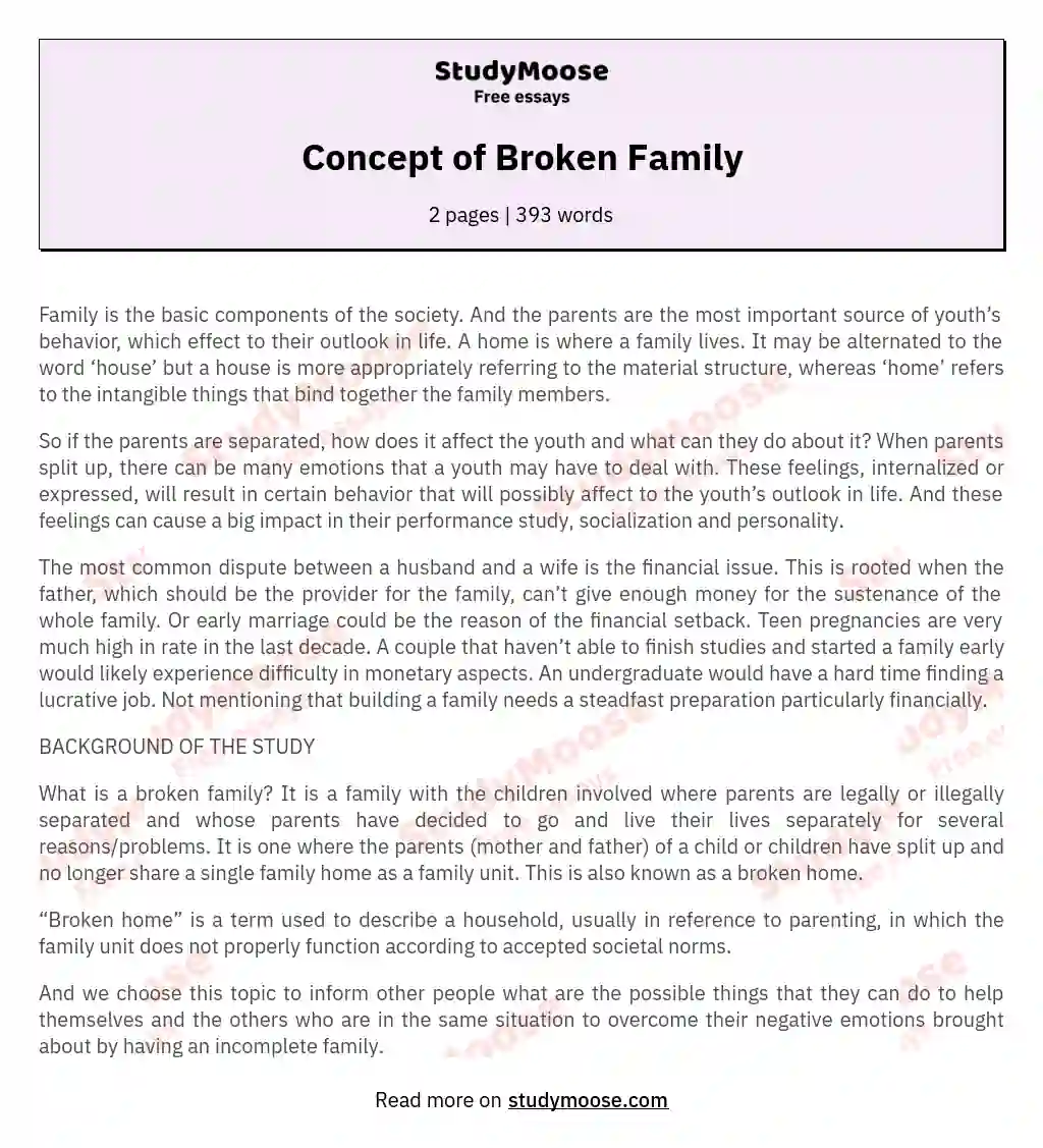 essay about broken family 500 words