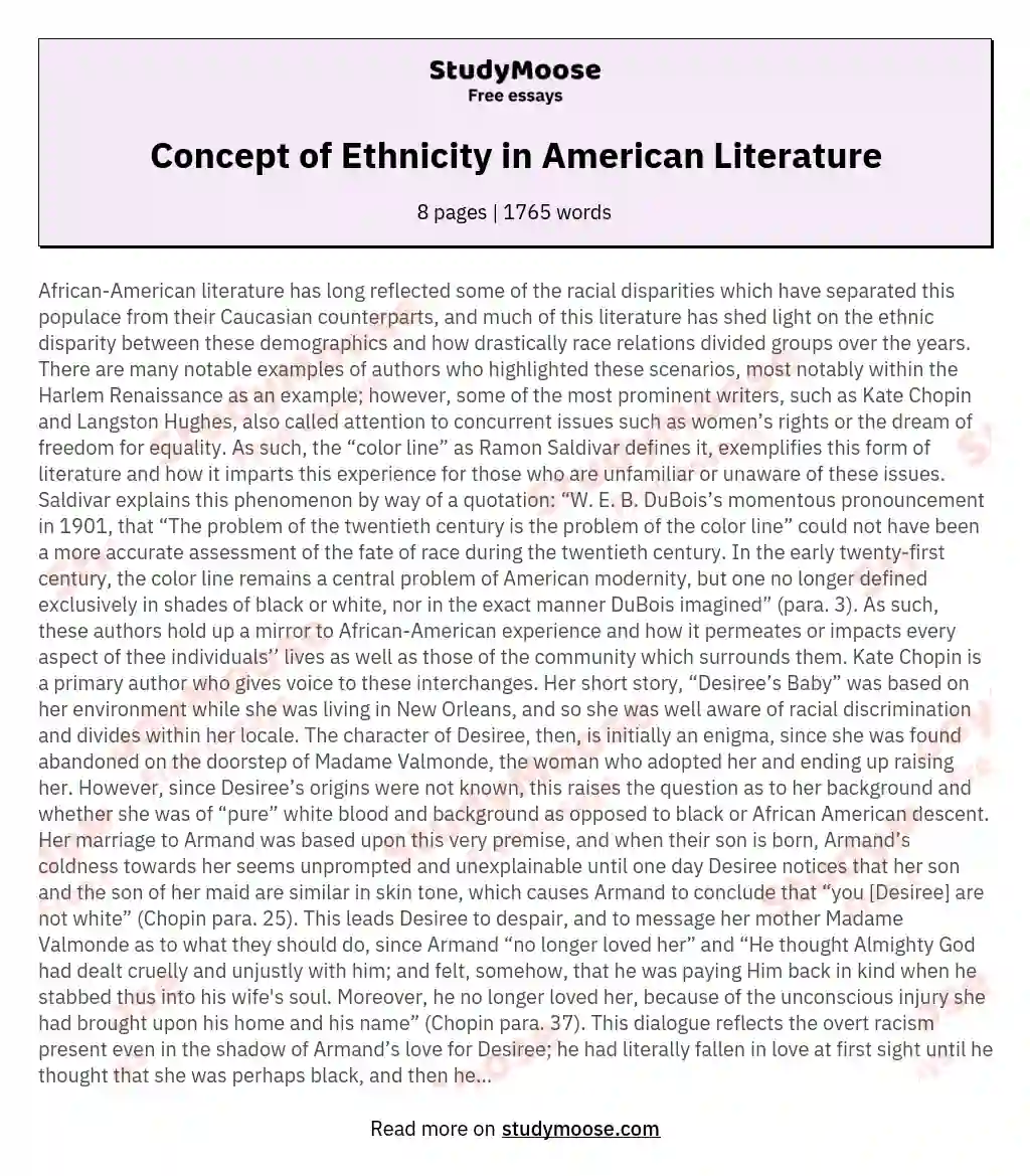 Concept of Ethnicity in American Literature essay