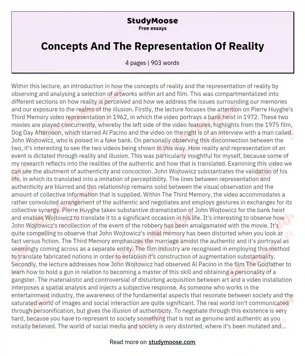 Concepts  And The Representation Of Reality essay