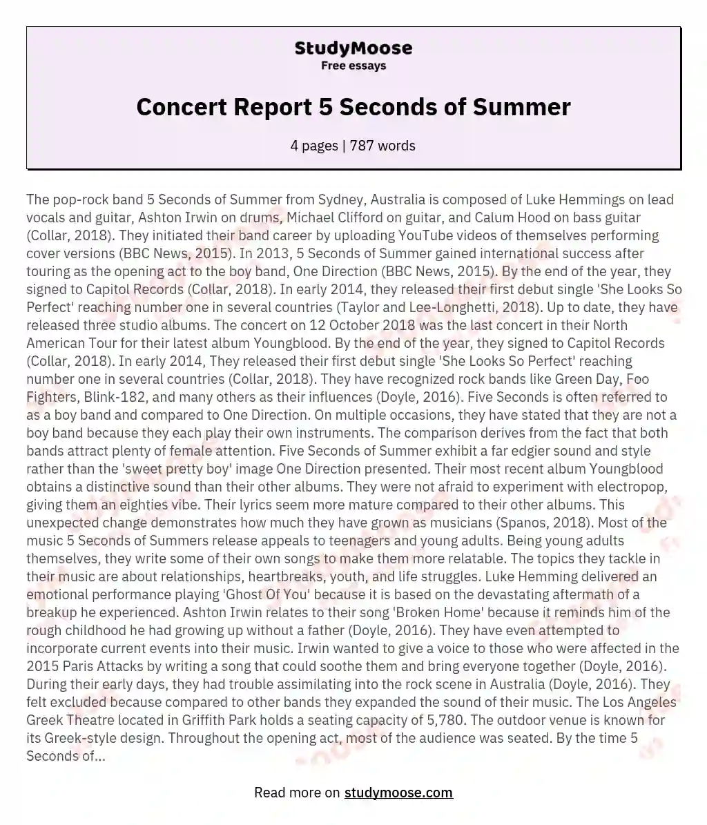Concert Report  5 Seconds of Summer essay