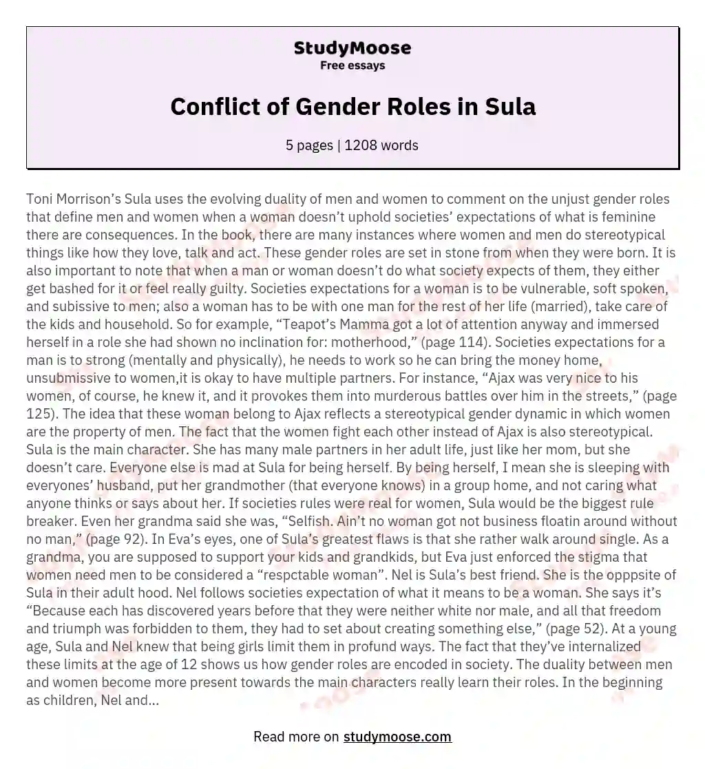 Conflict of Gender Roles in Sula essay