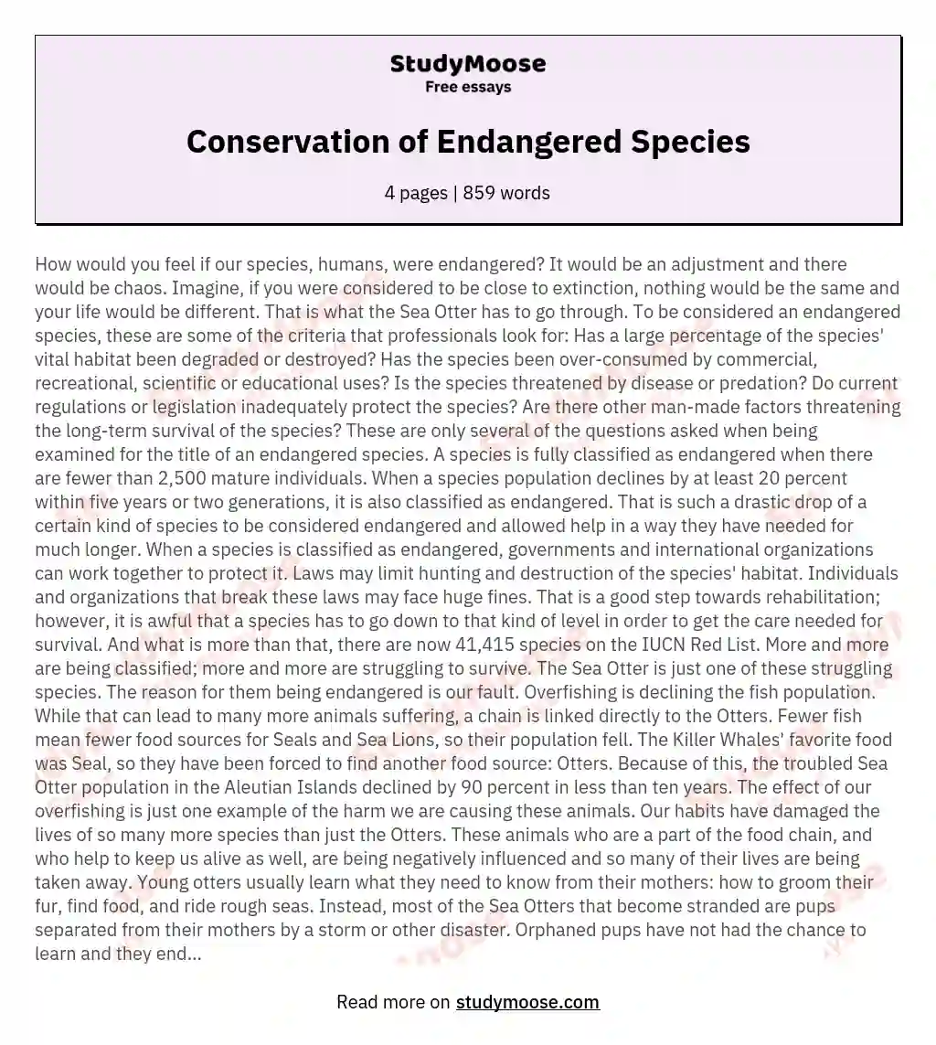 Conservation of Endangered Species essay