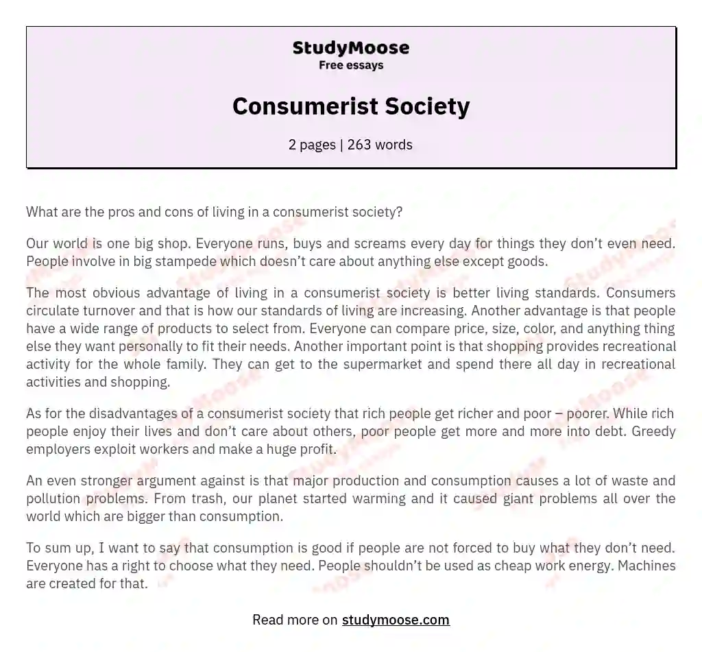 Consumerist Society essay