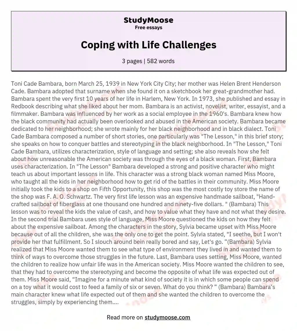 Coping with Life Challenges essay