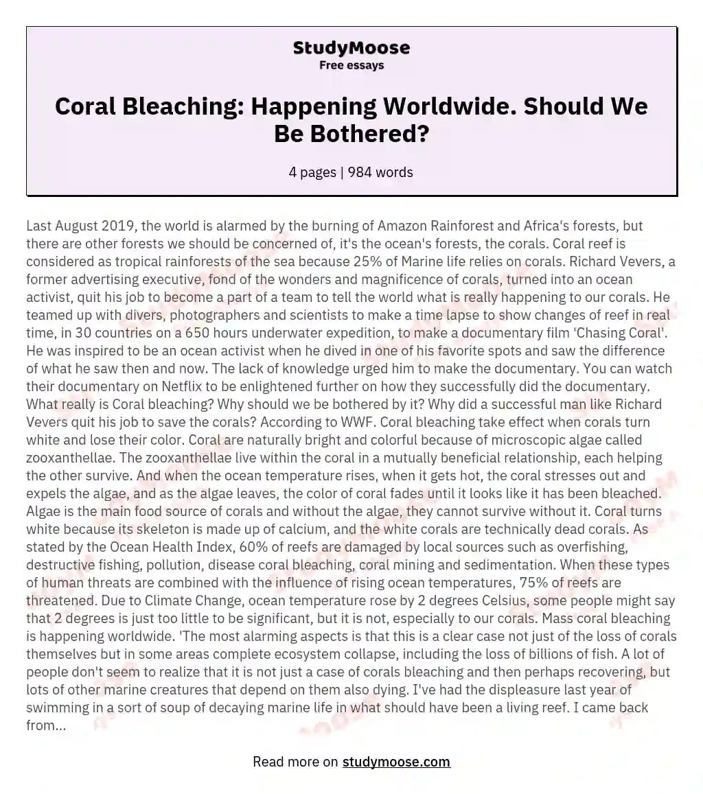 Coral Bleaching: Happening Worldwide. Should We Be Bothered? essay
