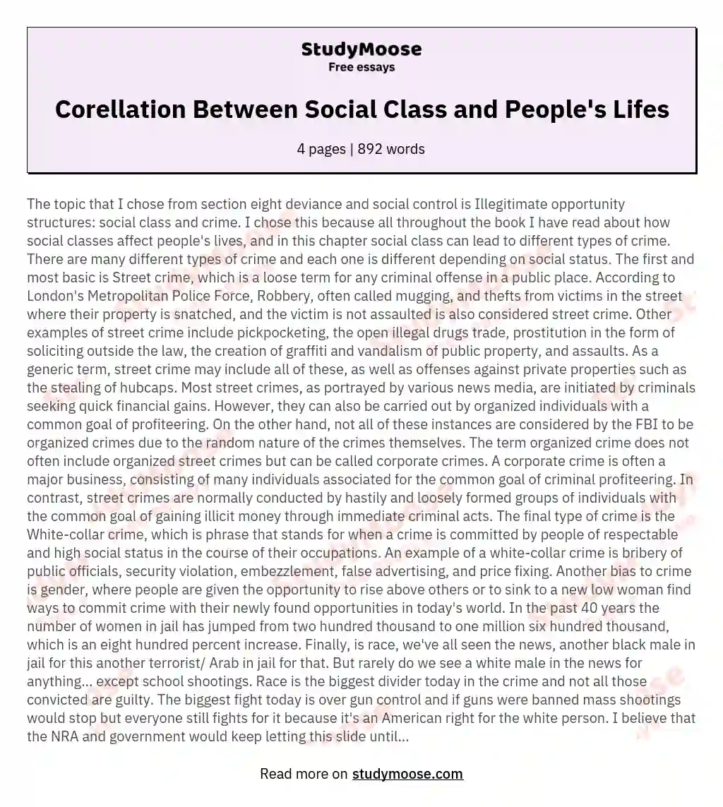 Corellation Between Social Class and People's Lifes essay