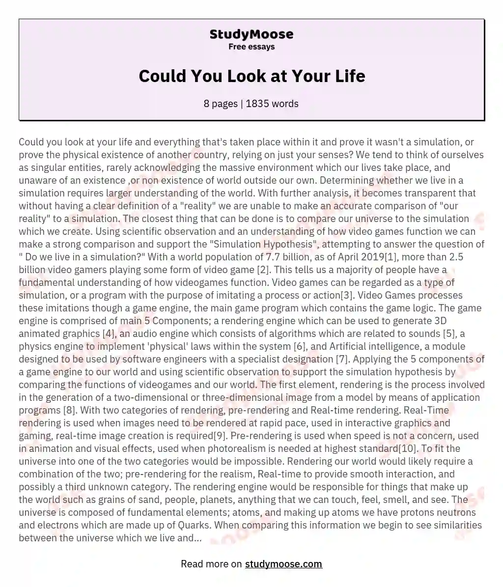 Could You Look at Your Life essay