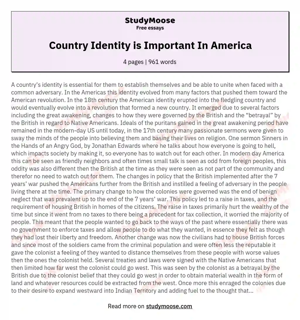 Country Identity is Important In America essay