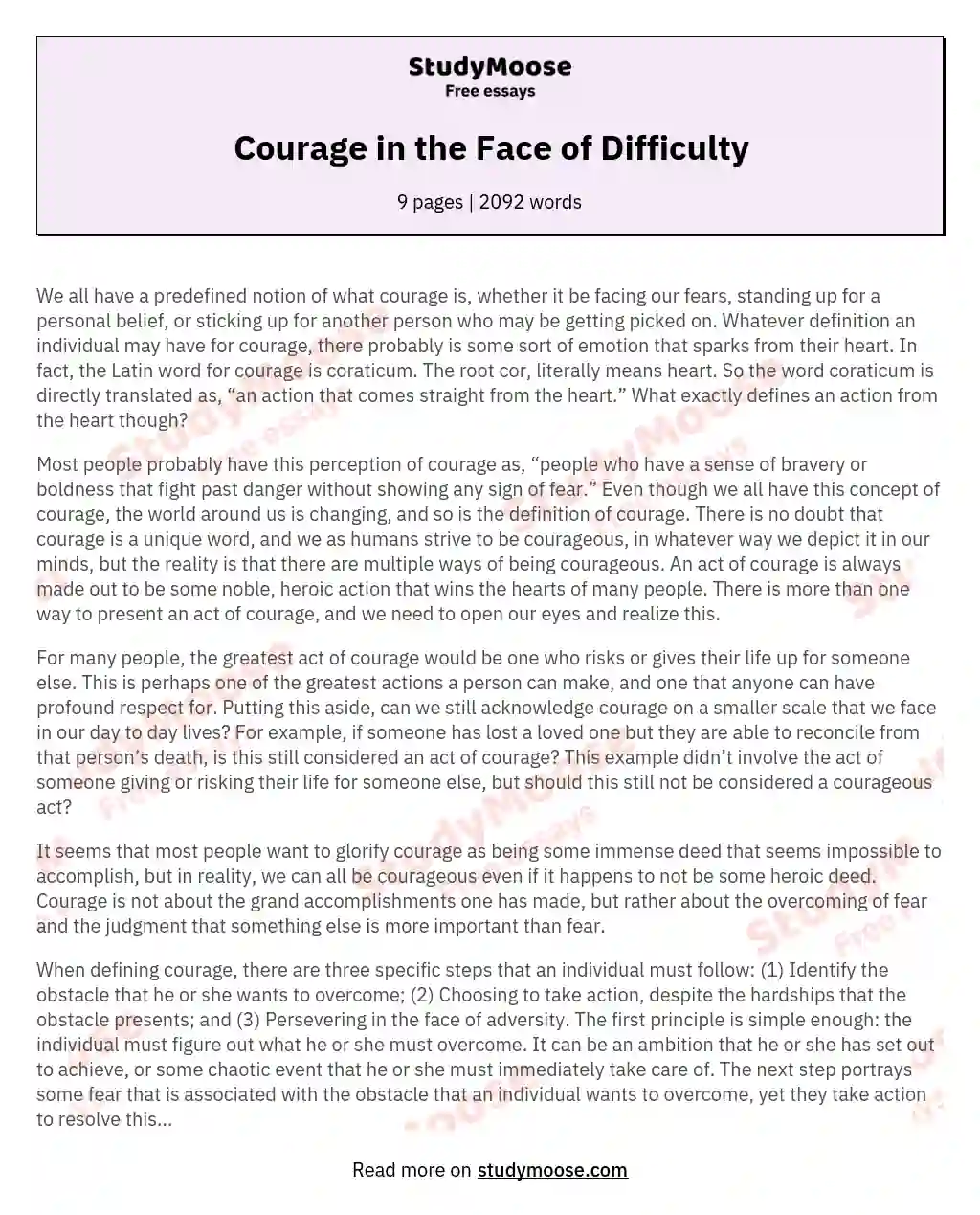 Courage in the Face of Difficulty essay
