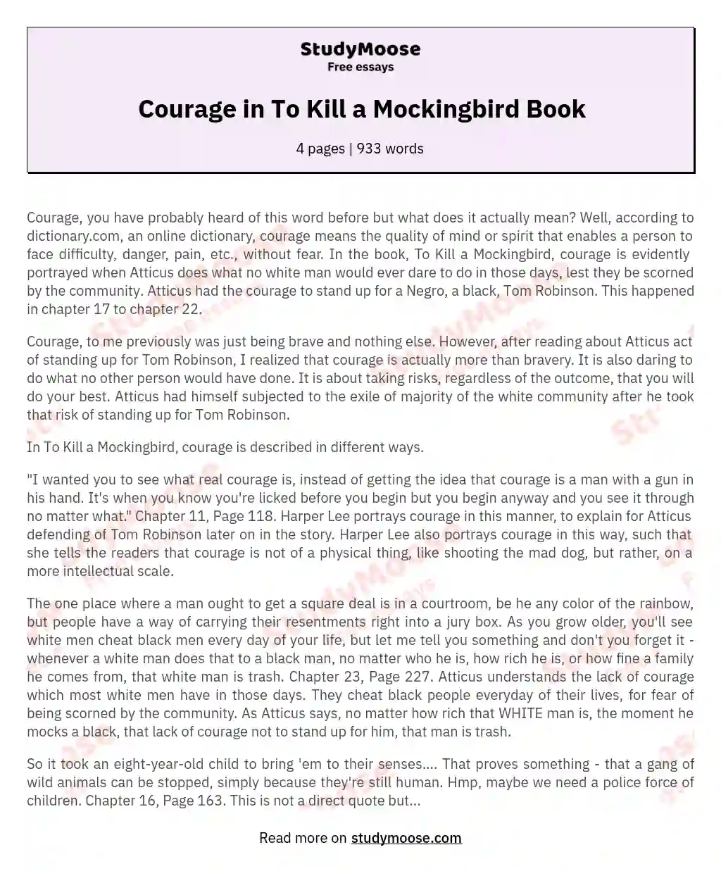 Courage in To Kill a Mockingbird Book