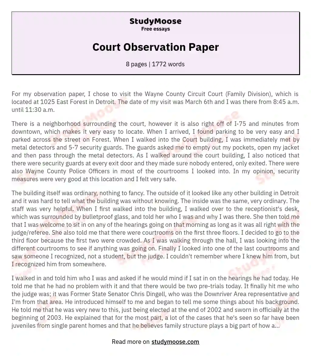 Court Observation Paper essay
