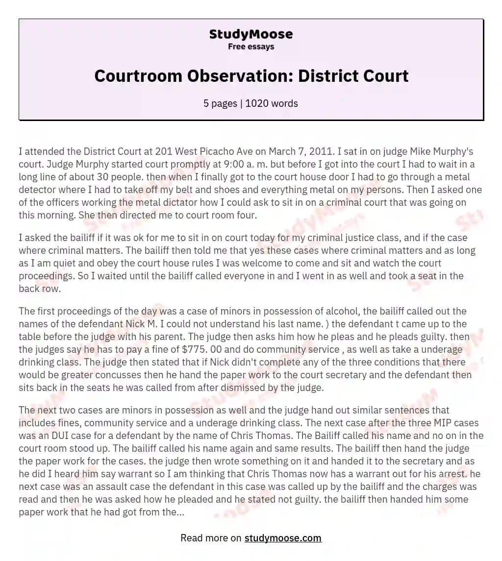 Courtroom Observation: District Court essay