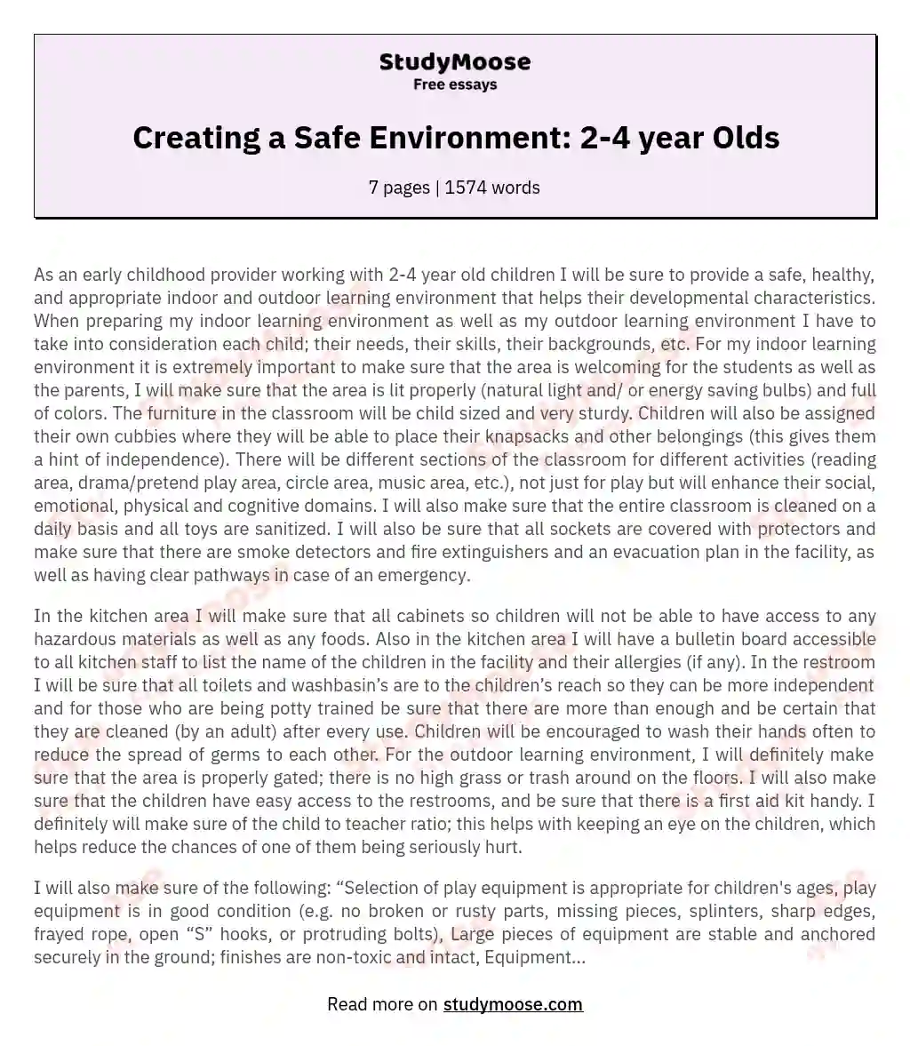Creating a Safe Environment: 2-4 year Olds essay