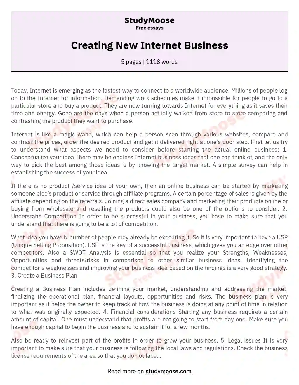Creating New Internet Business essay