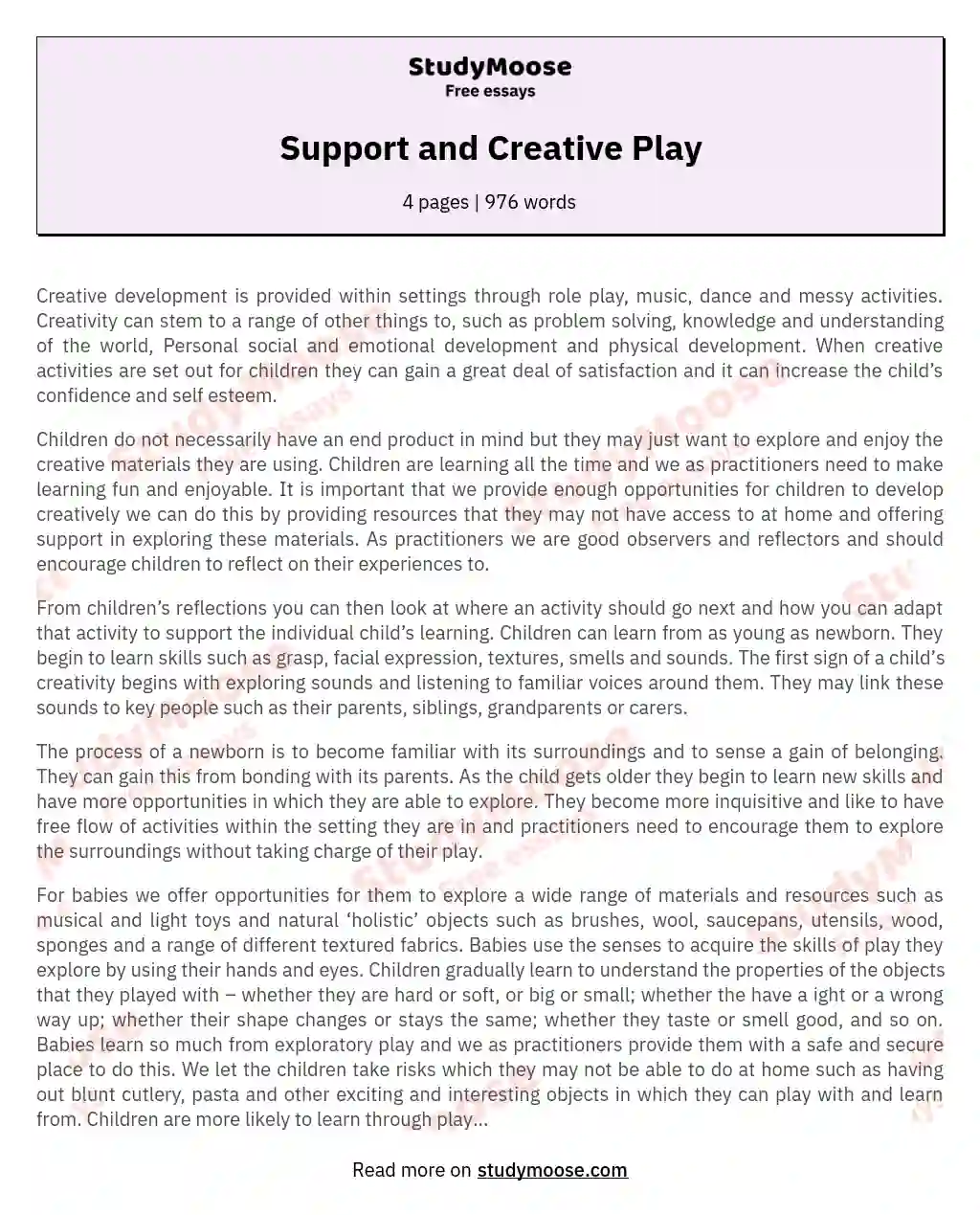 Support and Creative Play essay