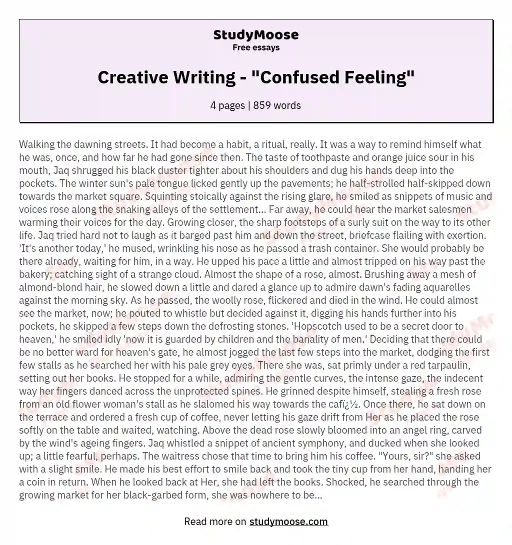 Creative Writing - "Confused Feeling" essay