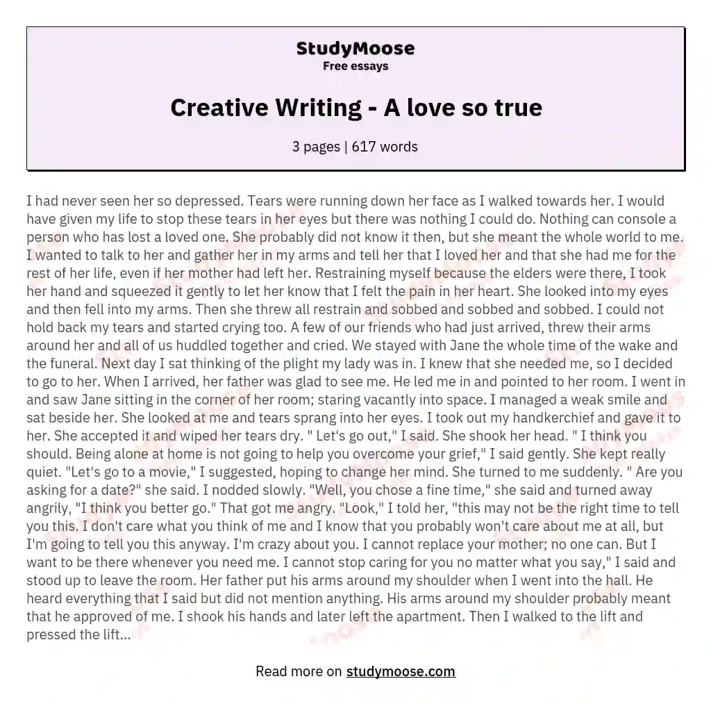 essay about my love