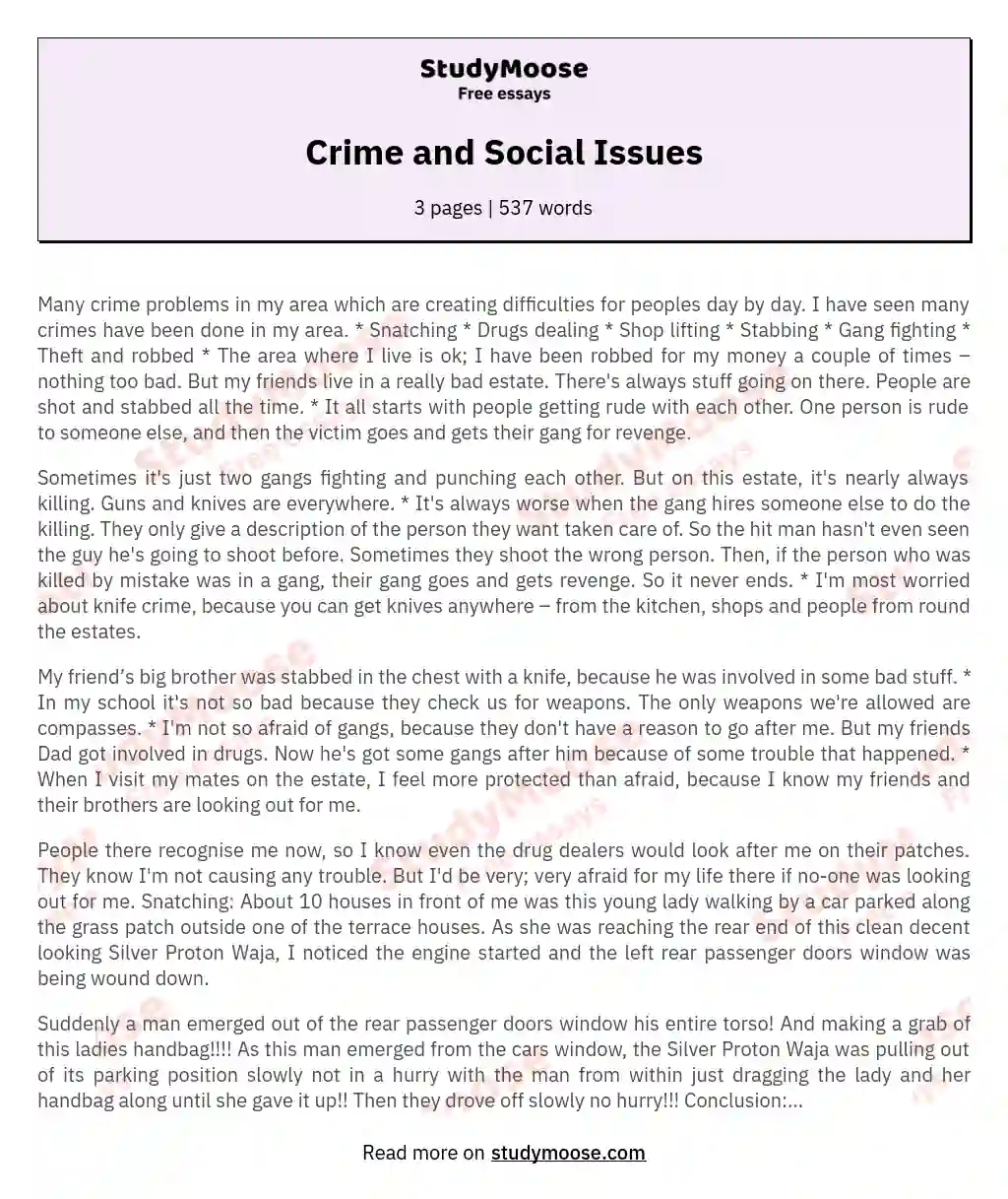 Crime and Social Issues essay