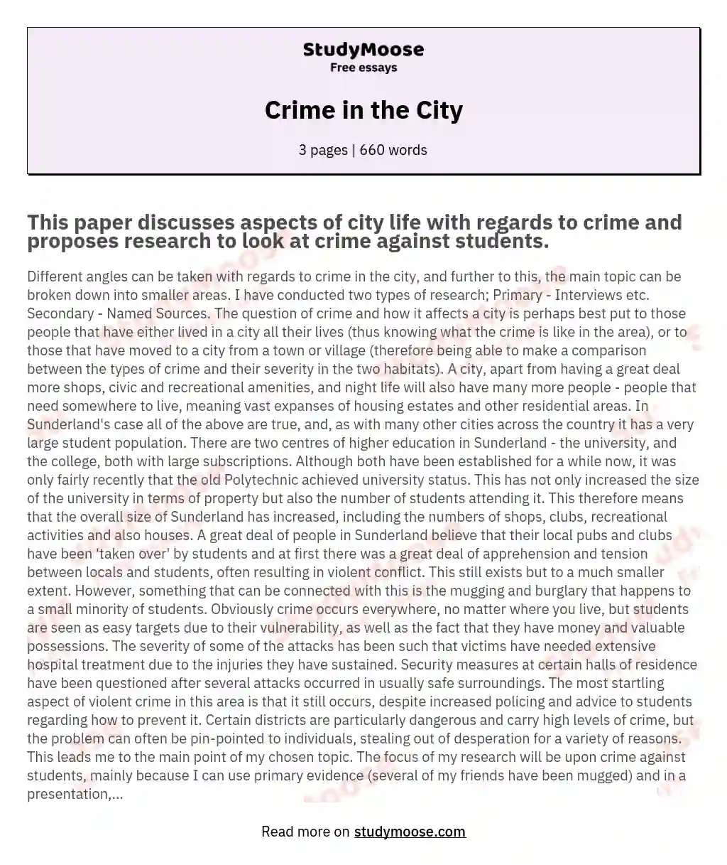 Crime in the City essay
