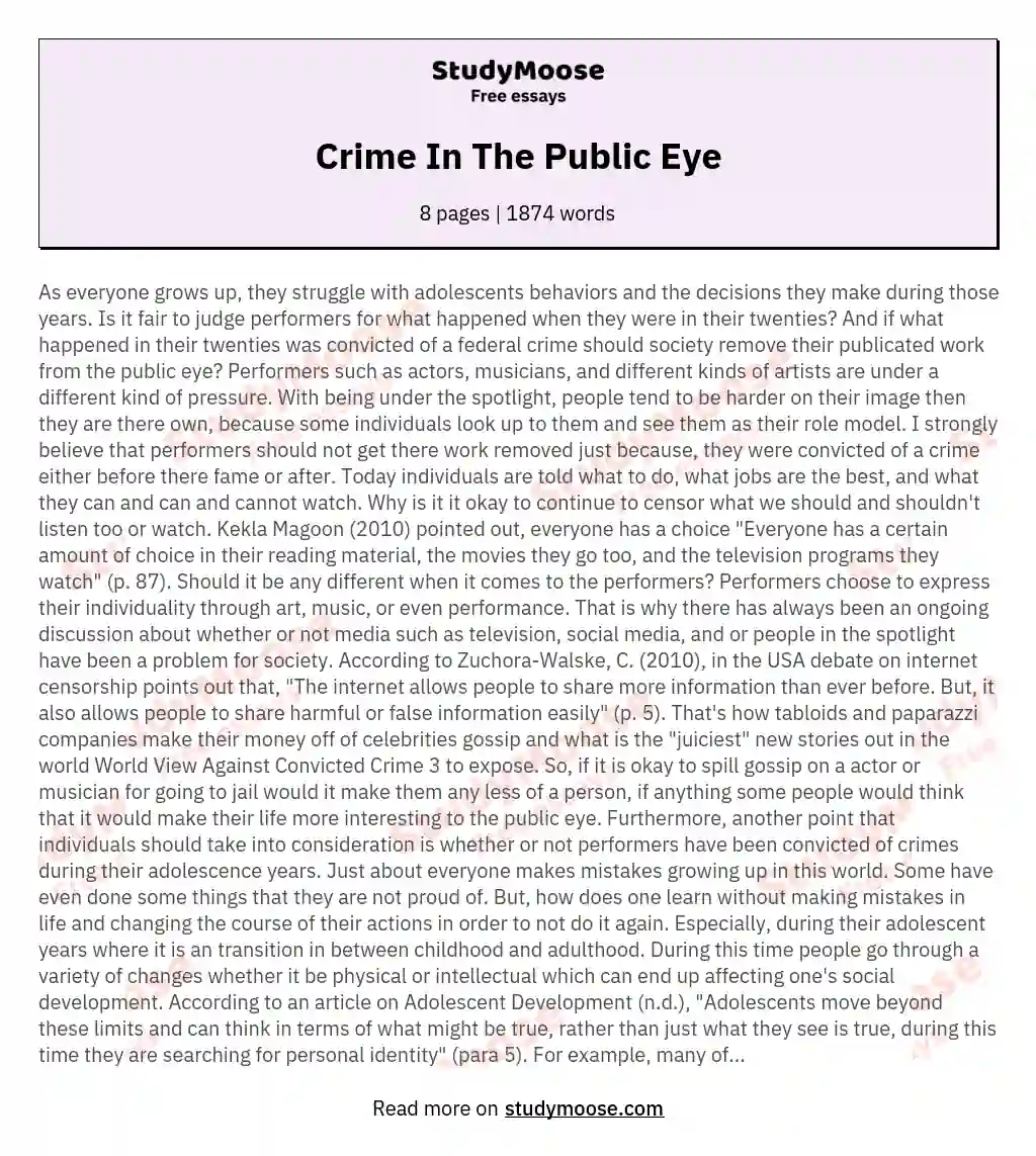 Crime In The Public Eye essay