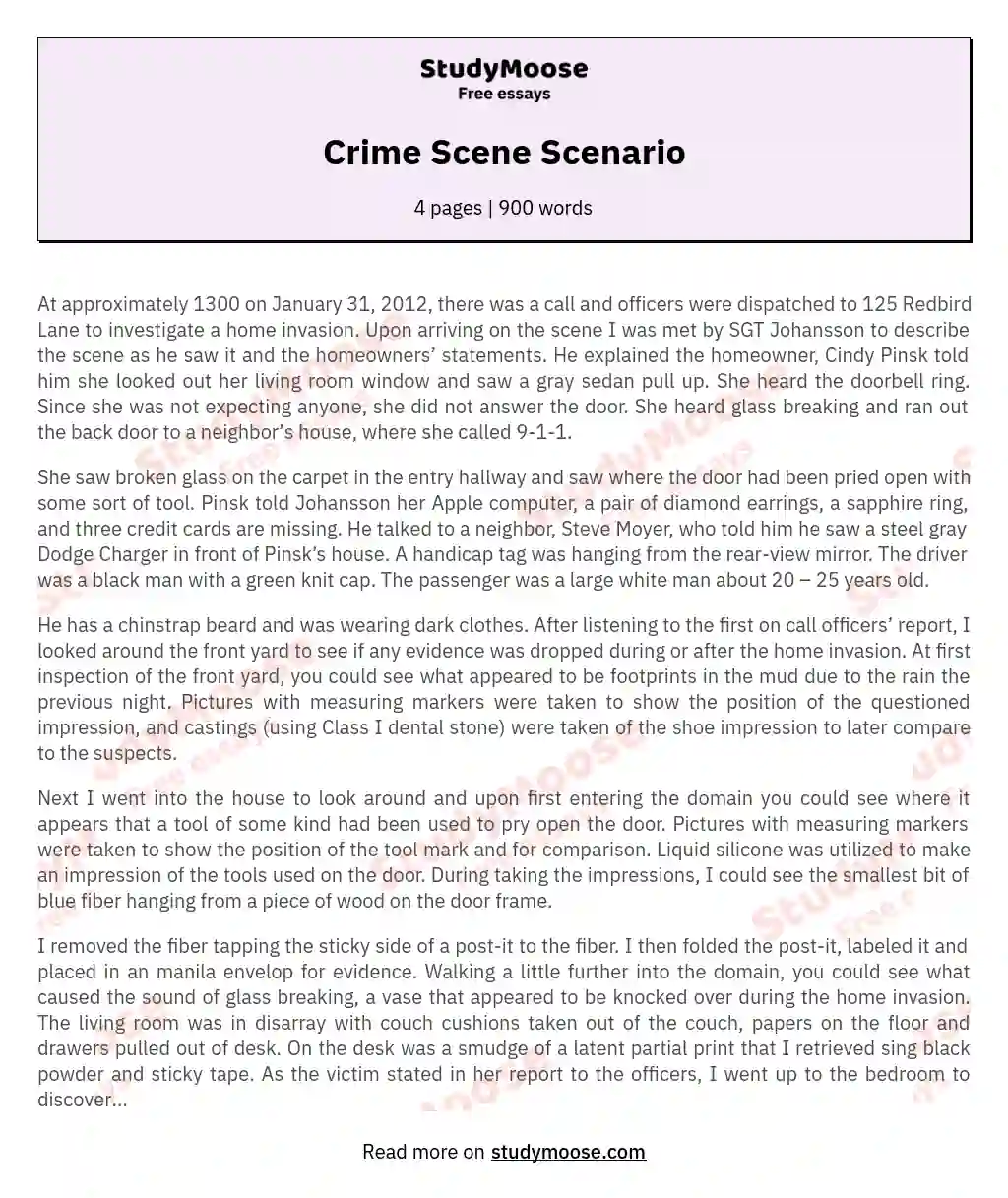 Crime Scene Scenario essay