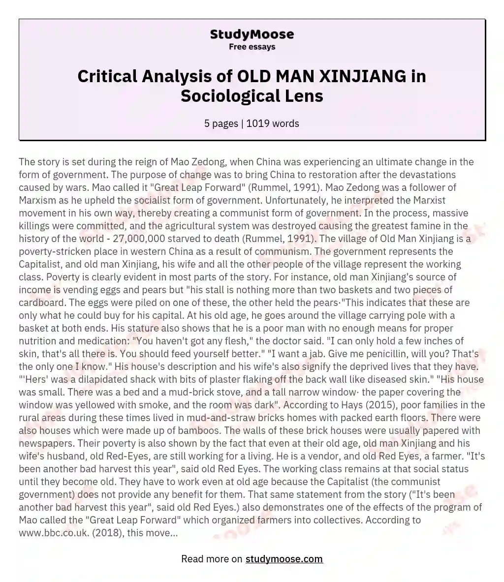 Critical Analysis of OLD MAN XINJIANG in Sociological Lens essay