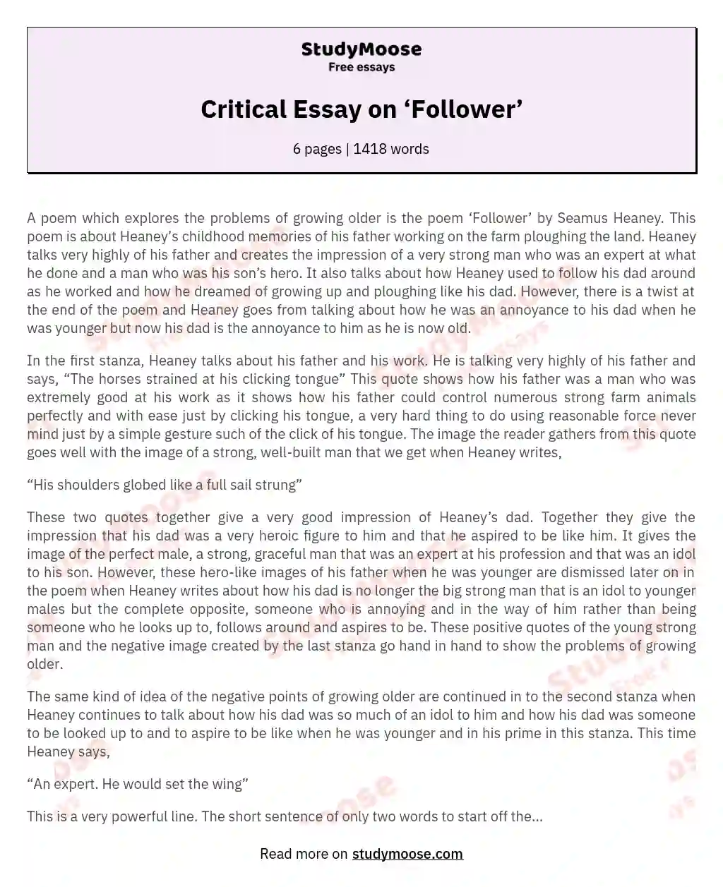 Critical Essay on ‘Follower’ essay