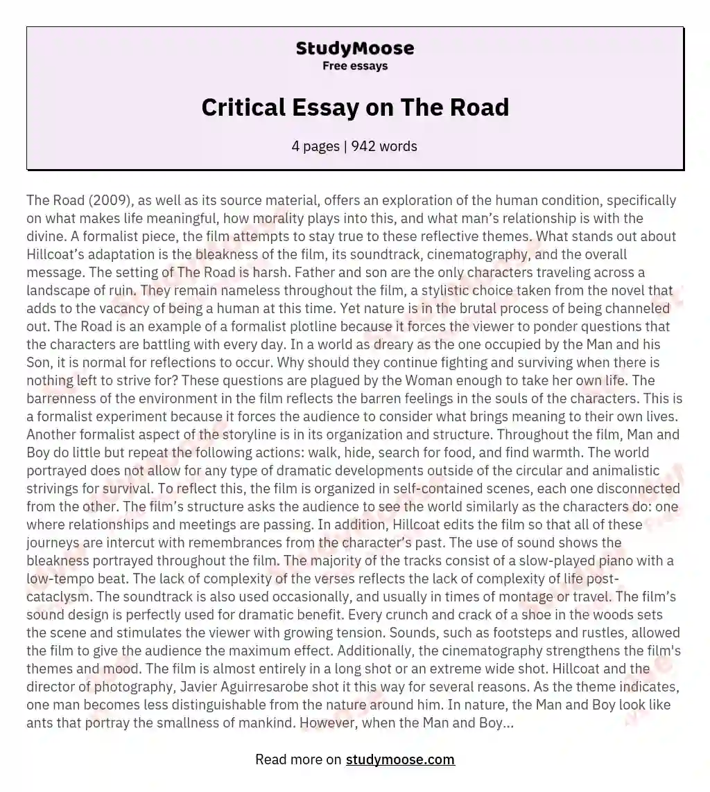 Critical Essay on The Road essay