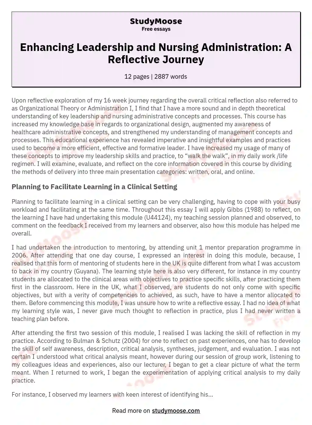 Enhancing Leadership and Nursing Administration: A Reflective Journey essay