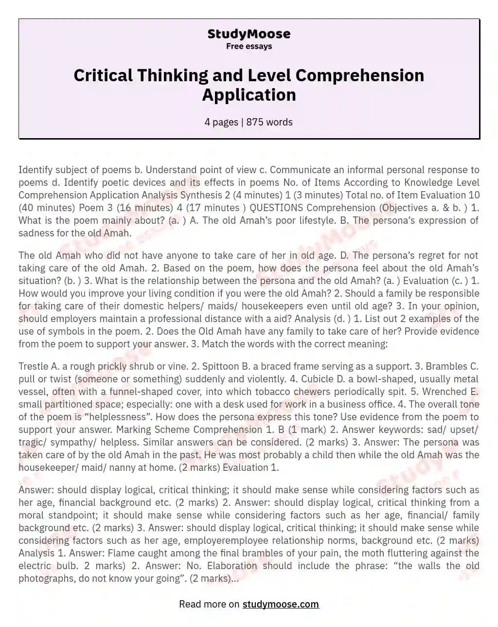Critical Thinking and Level Comprehension Application essay