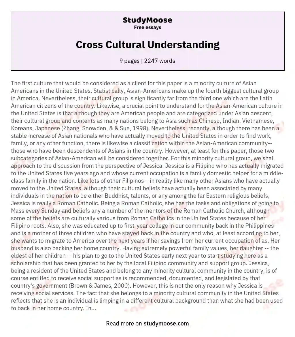 Cross Cultural Understanding essay