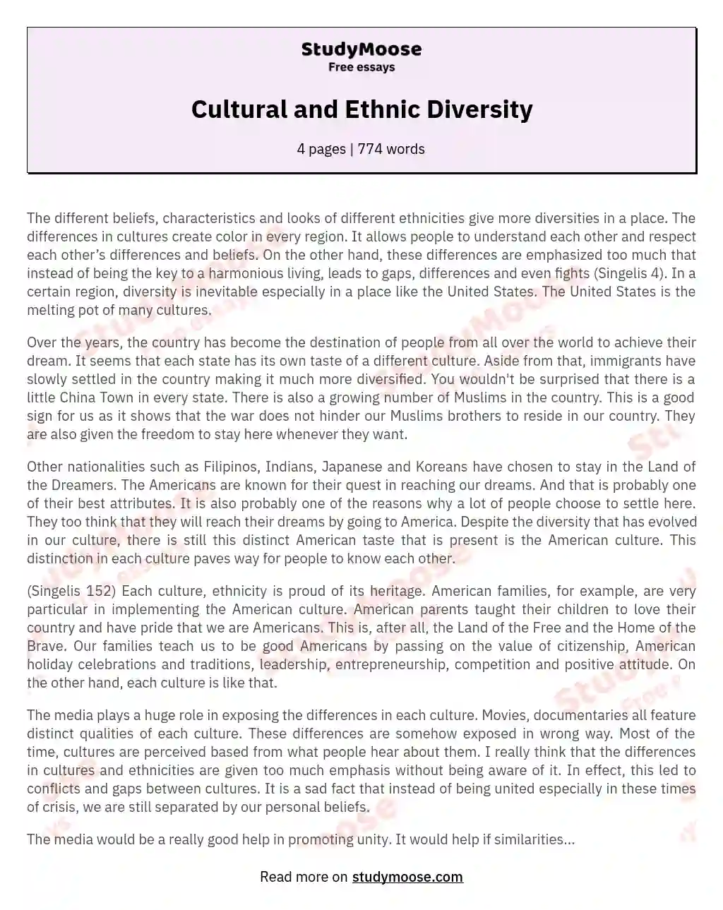 what is a diversity essay