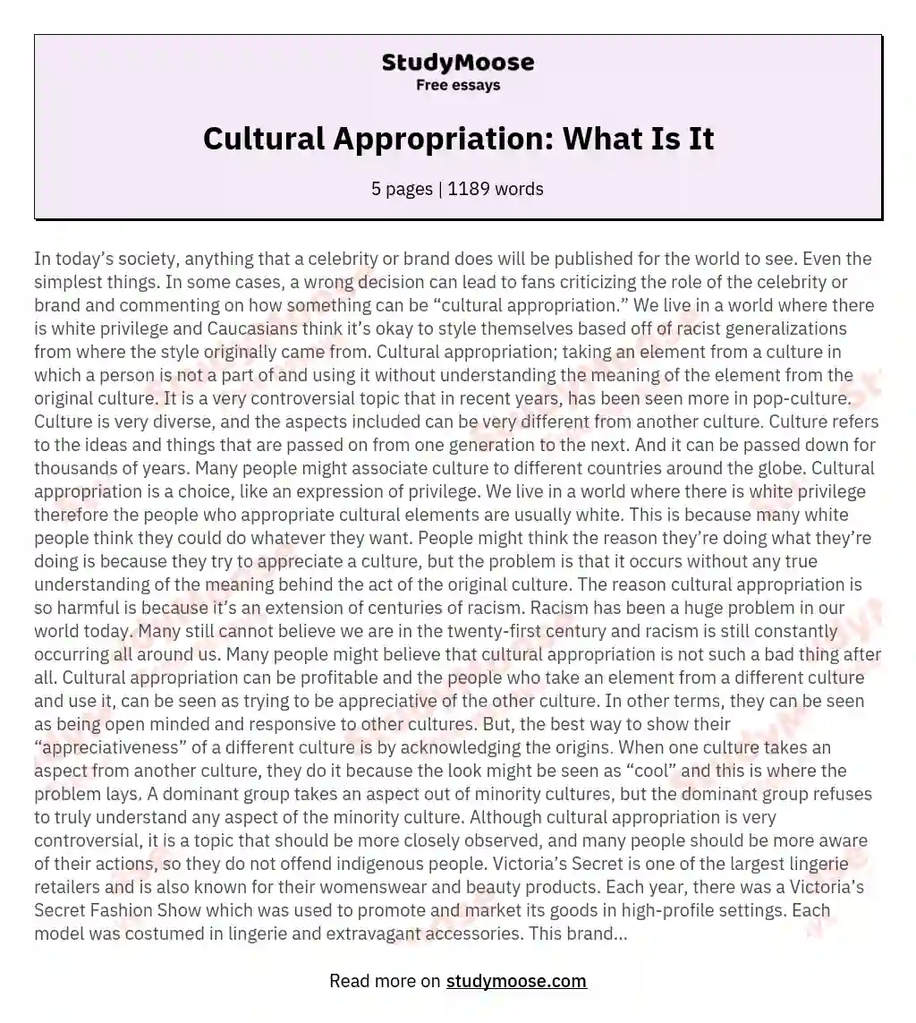 Cultural Appropriation: What Is It essay