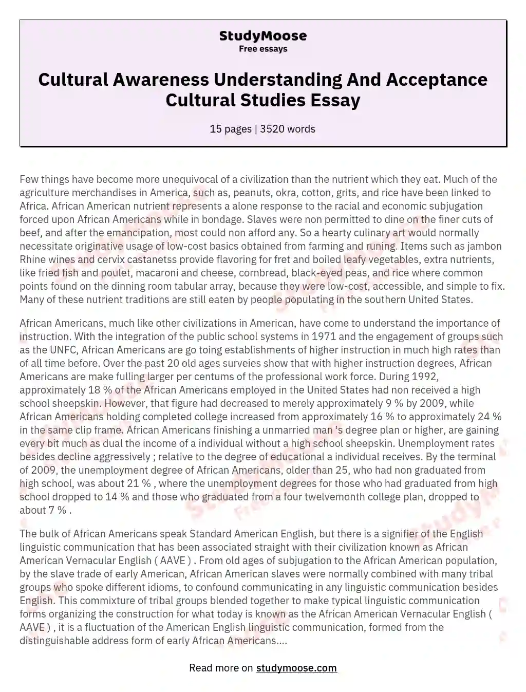 Cultural Awareness Understanding And Acceptance Cultural Studies Essay