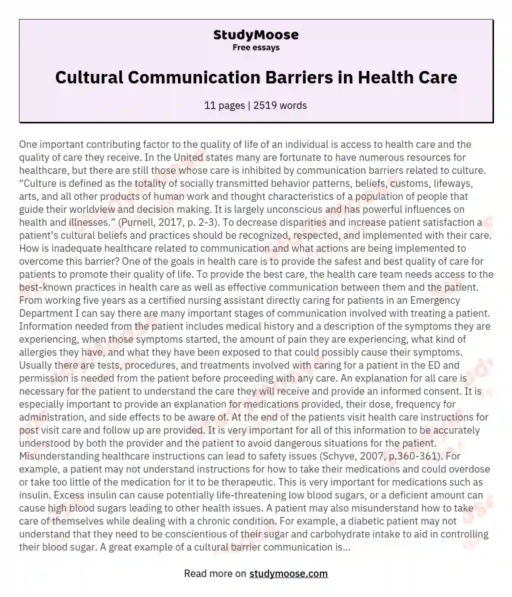 Cultural Communication Barriers in Health Care essay