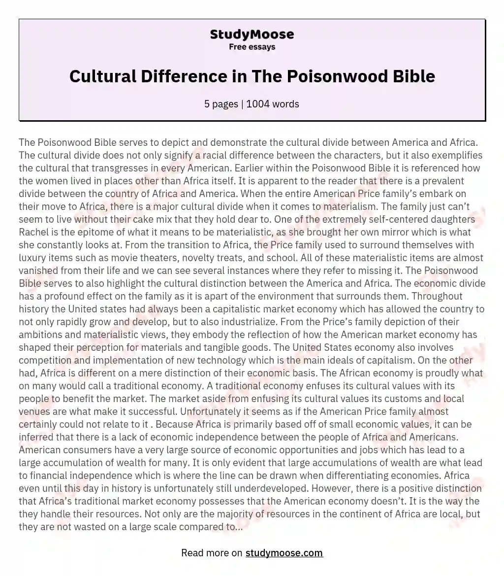 Cultural Difference in The Poisonwood Bible essay