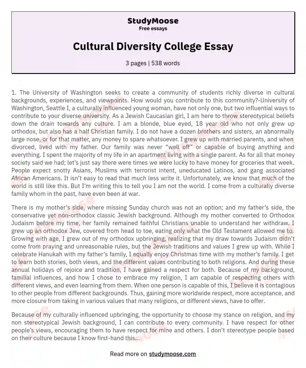 Cultural Diversity College Essay essay