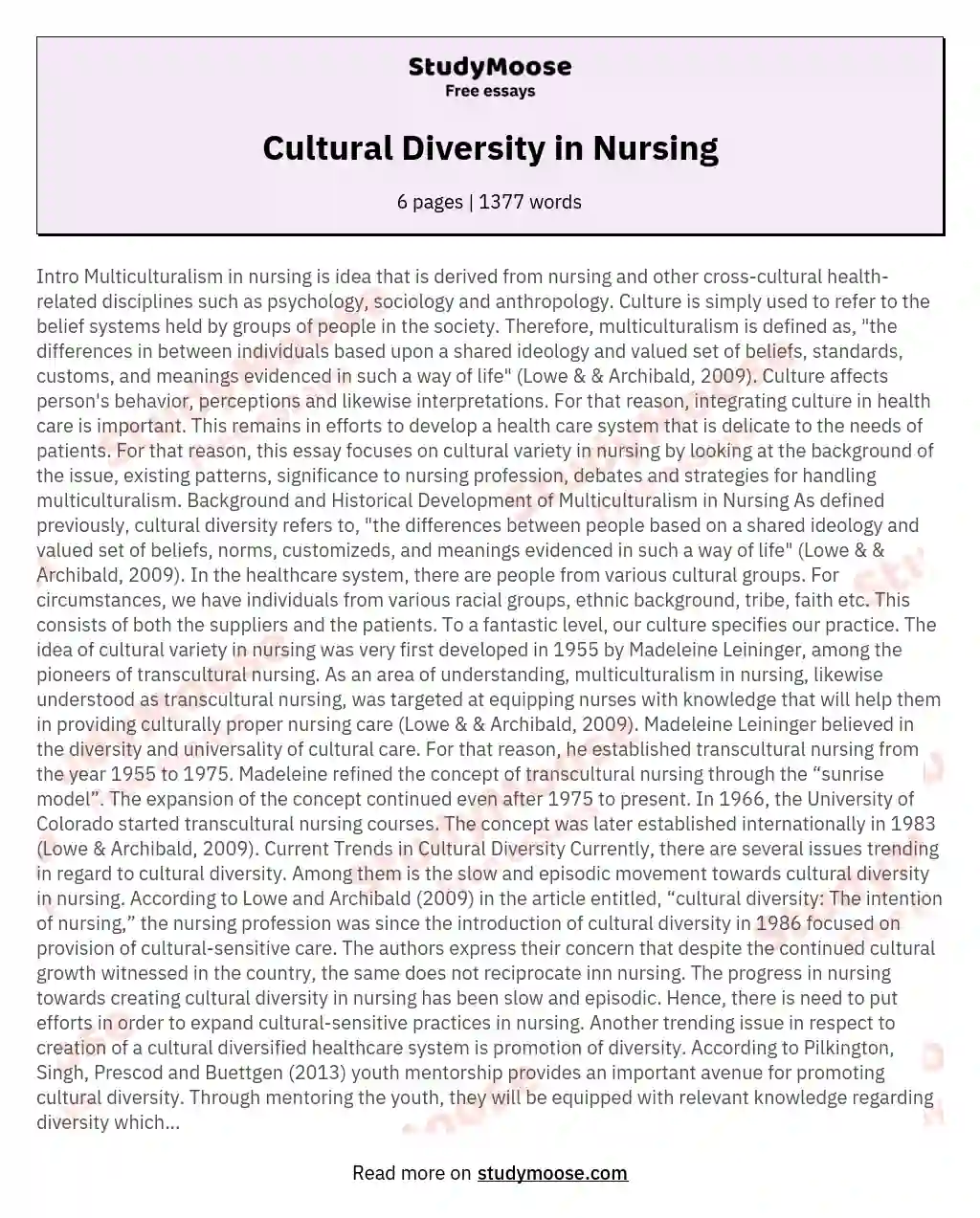 diversity in nursing essay