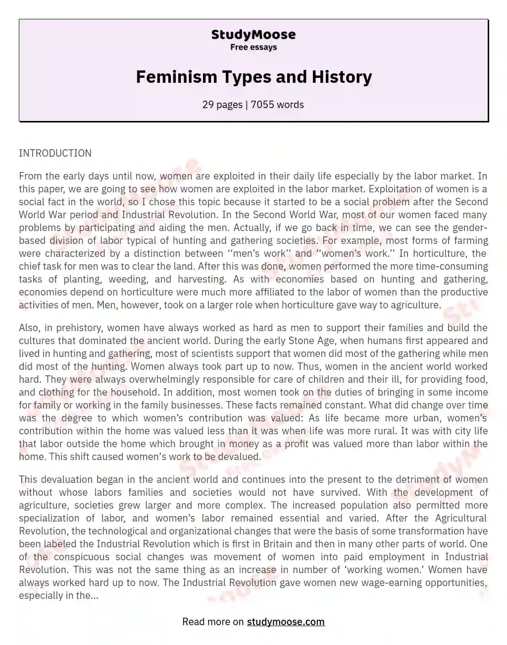 Feminism Types and History essay