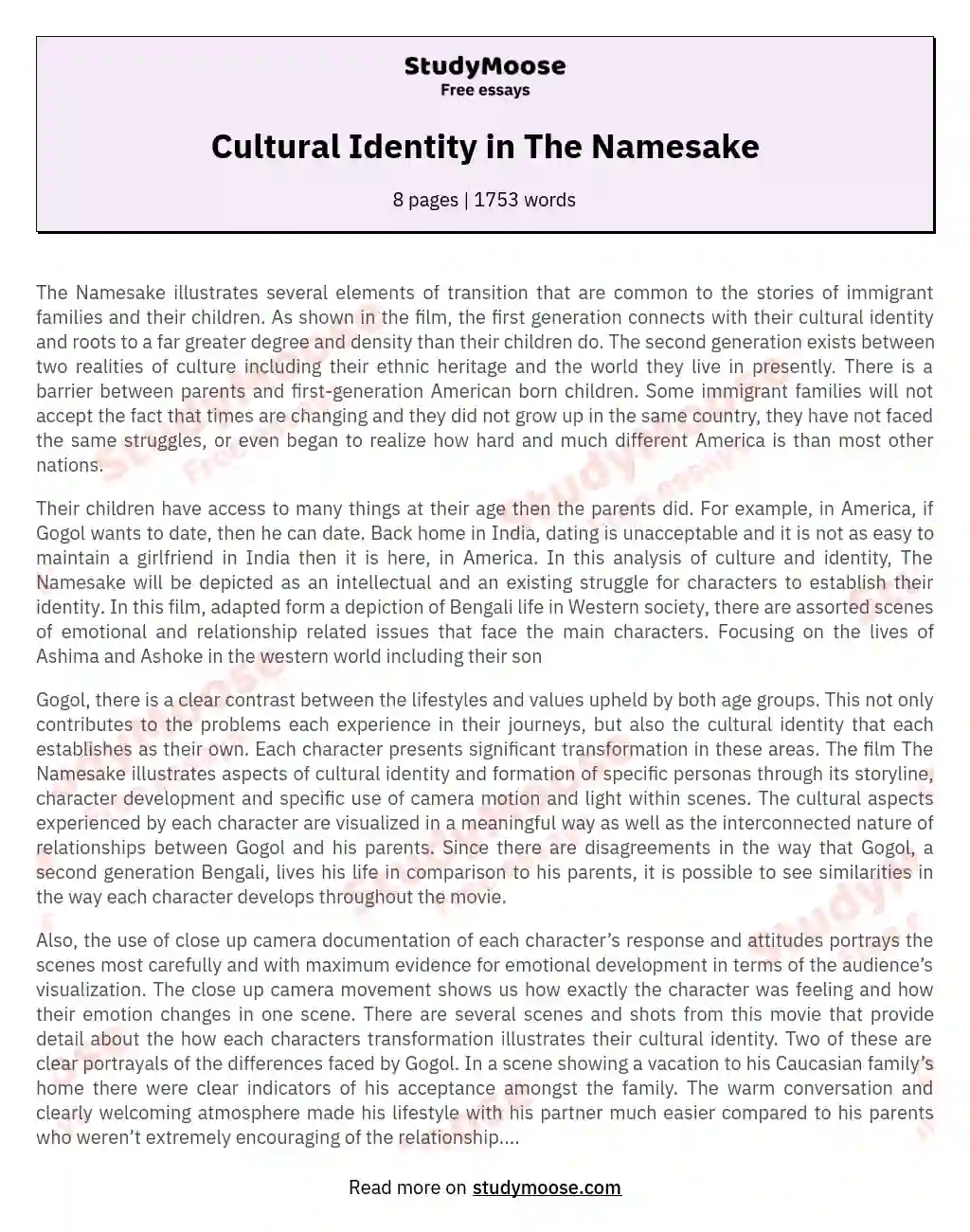 Cultural Identity in The Namesake essay